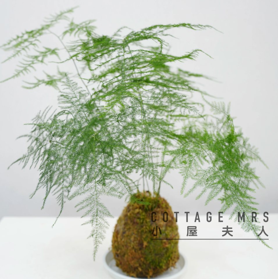 Vase sculptural — sélection Atelier Kër, décoration